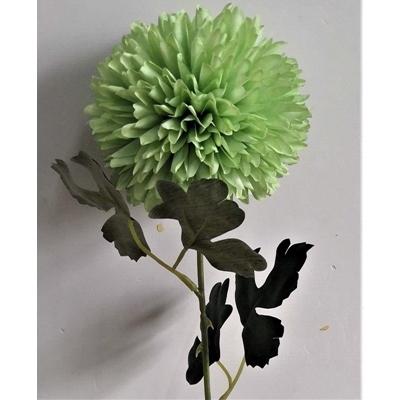 ALIUM-SINGLE-STEM-50CM-LIGHT-GREEN_ALIUM_SINGLE_STEM_50CM_LIGHT_GREEN_.jpeg