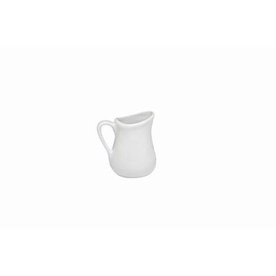 APOLLO-JUG-0-025L-9-1-23_APOLLO_JUG_0.025L_.jpeg