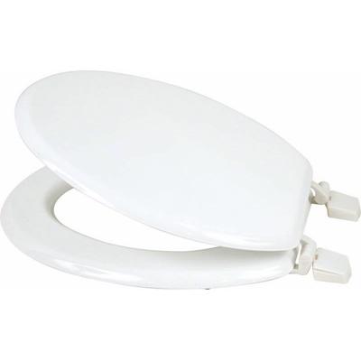 ASHLEY-WHITE-TOILET-SEAT_ASHLEY_WHITE_TOILET_SEAT_.jpeg