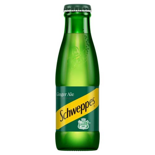 Schweppes_Canada_Dry_Ginger_Ale_24x125ml_Case_of_24.jpeg
