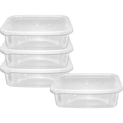 beaufort-rect-4-extra-large-food-container_BEAUFORT_RECTANGULAR_4_EXTRA_LARGE_FOOD_CONTAINER_.jpeg